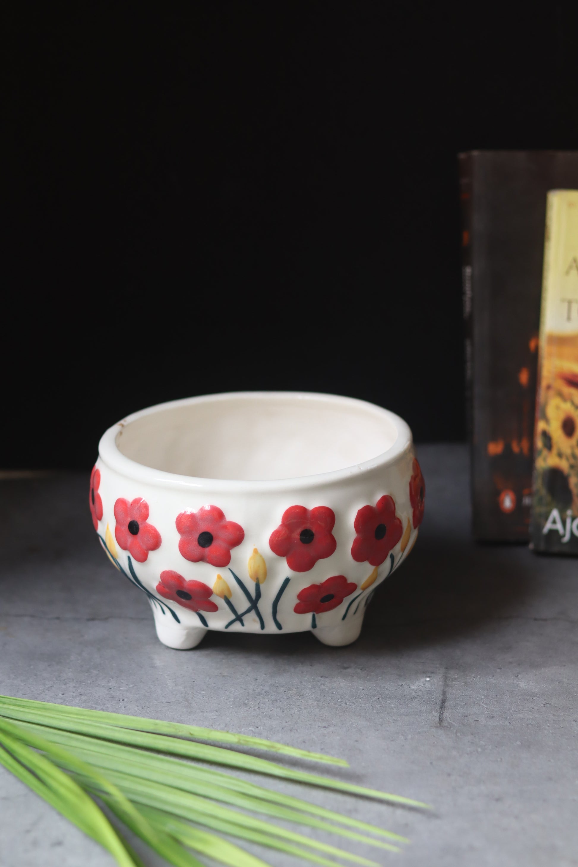 Set of 6 Aesthetic Planter (for the price of 5)
