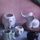 Set of 5 Elephant Embrace Combo