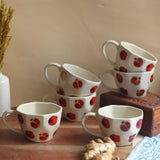 Anar Mugs - Set of 6