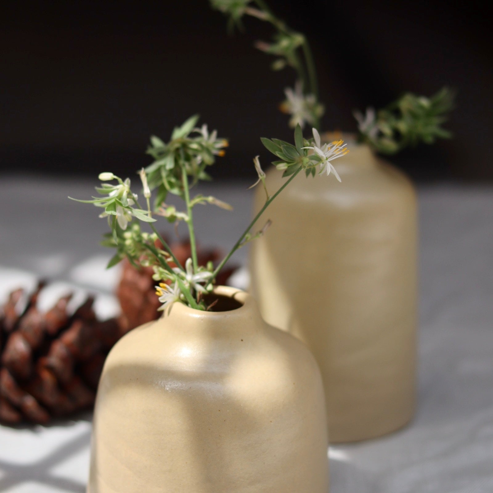 cream bud vase - set of 2 premium cream colour