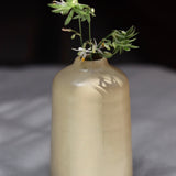 combo, set of 2 bud vases