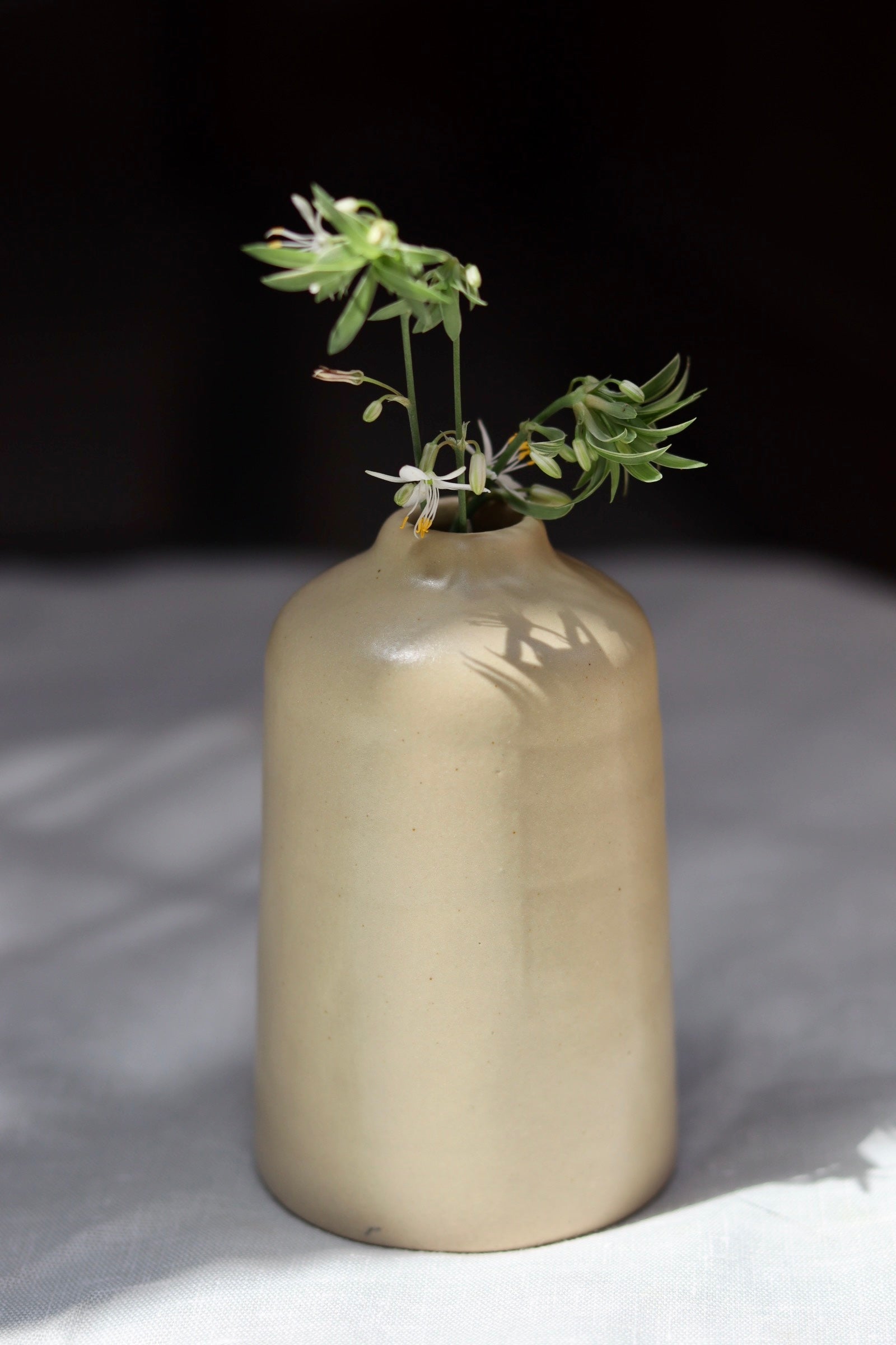 combo, set of 2 bud vases