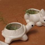 rabbit & tortoise planter set of two, combo