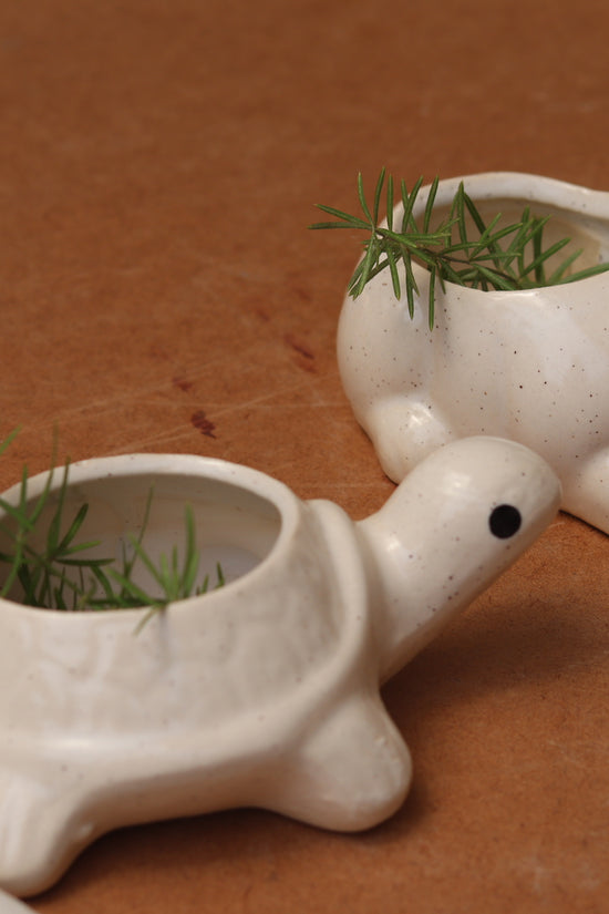 rabbit & tortoise planter set of two, combo