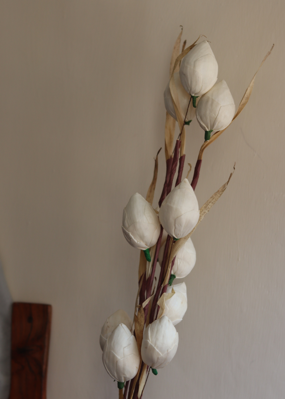 Dried white lotus flowers bunch 