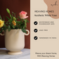 Aesthetic White Vase