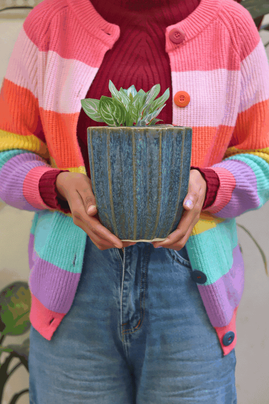 Lotus Planter - Metallic Blue