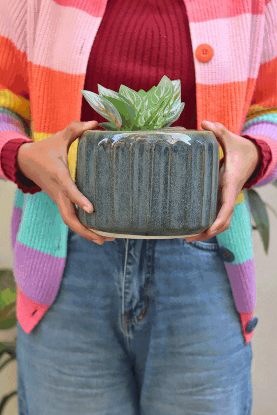 Ribbed Green Planter - Large