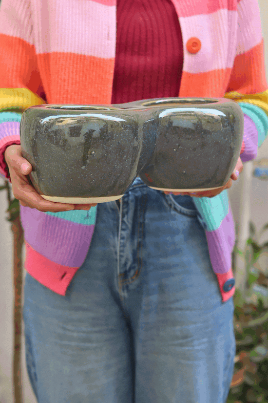 Twice a bloom planter