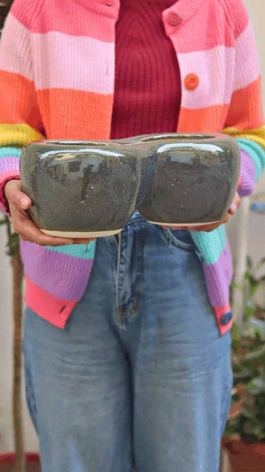 Twice a bloom planter