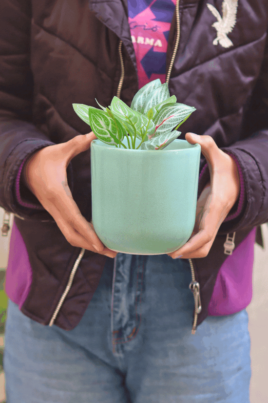 Mint Planter