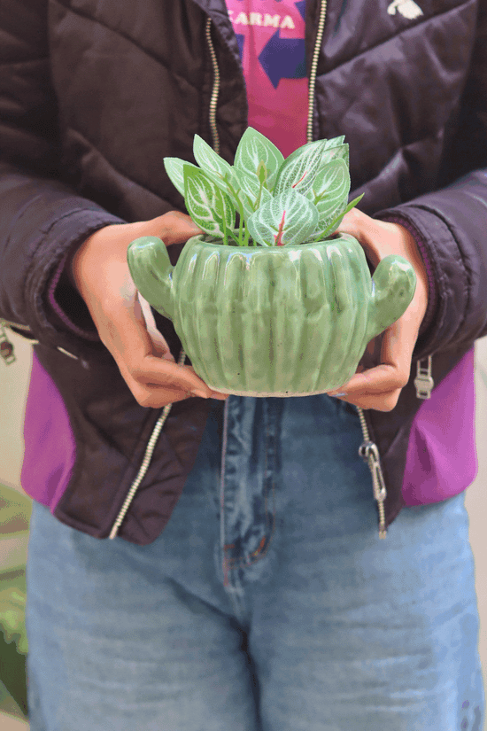 Cactus Planter