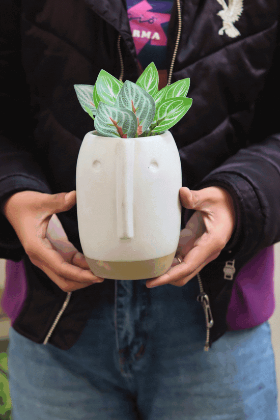 Quirky Face Planter Pot