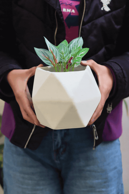 White Hexagon Planter