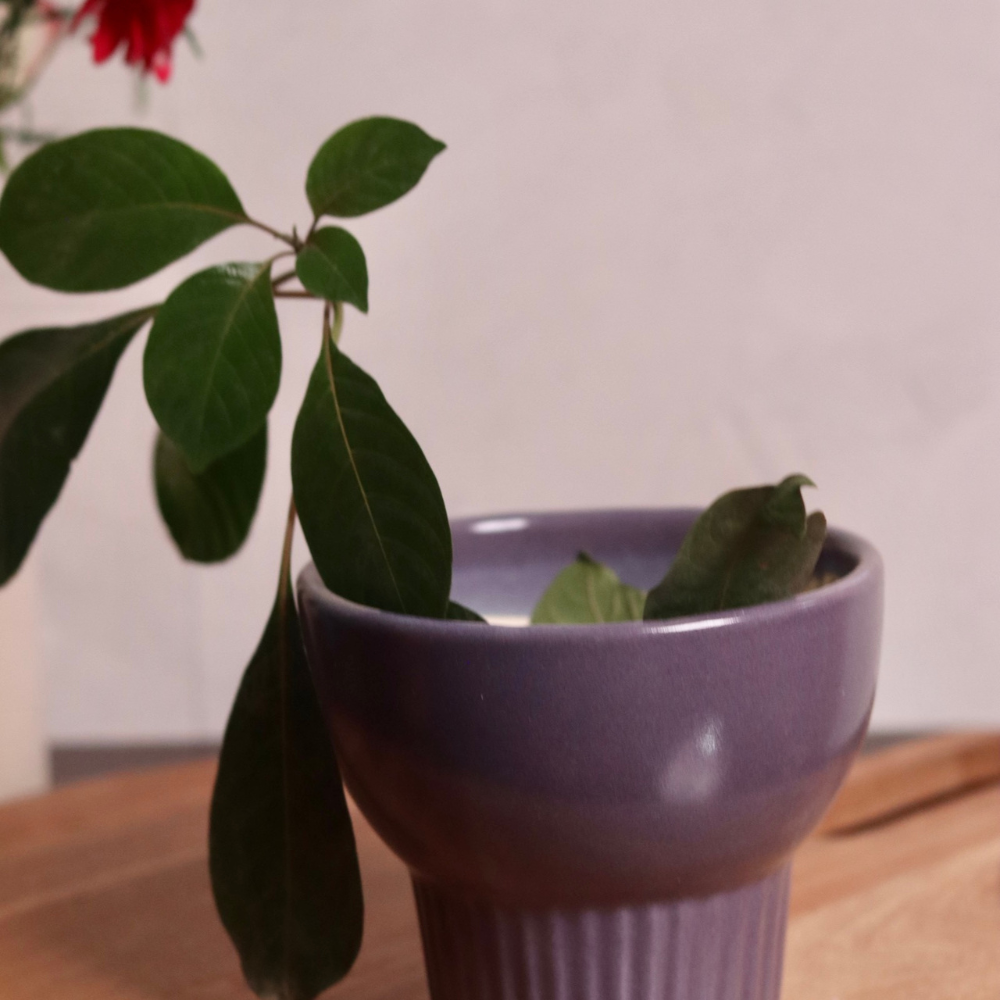 Purple Bloom Planter With Plant 