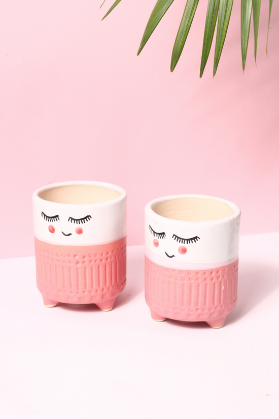 White & Pink Tweety Plant Pots