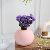 Baby Pink Round Planter