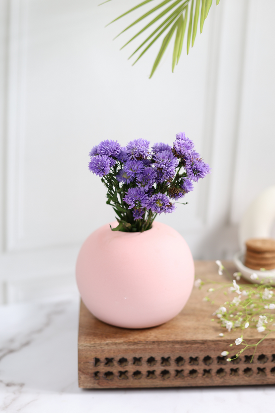 Baby Pink Round Planter