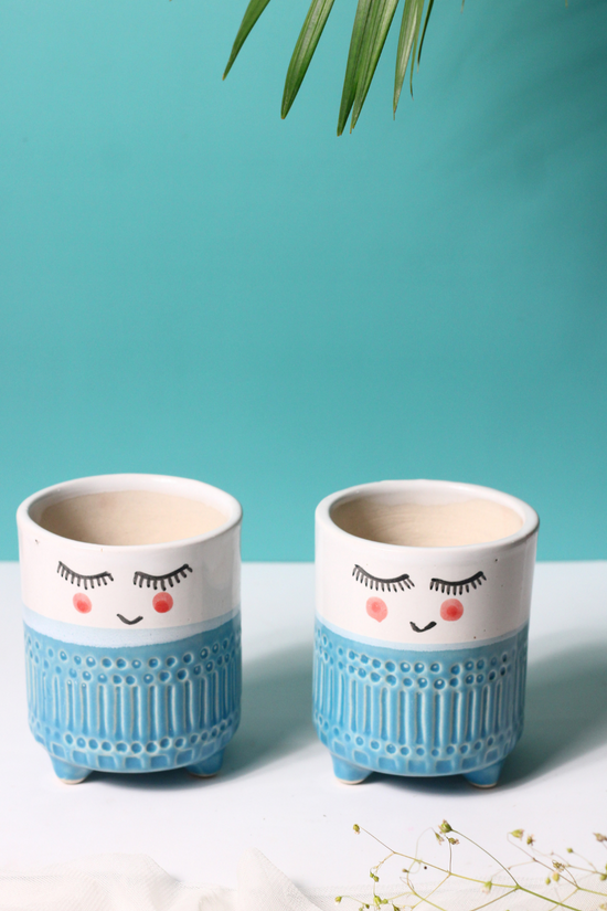 Blue & White Tweety Plant Pots