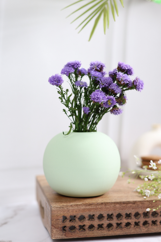 Ceramic planter with plants