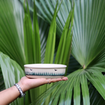 Palm soap dish in hand 