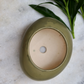 Green Pebble Planter