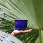 Blue planter in hand