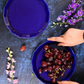Royal Blue Snack Plate