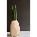 Mistif white vase with plant 