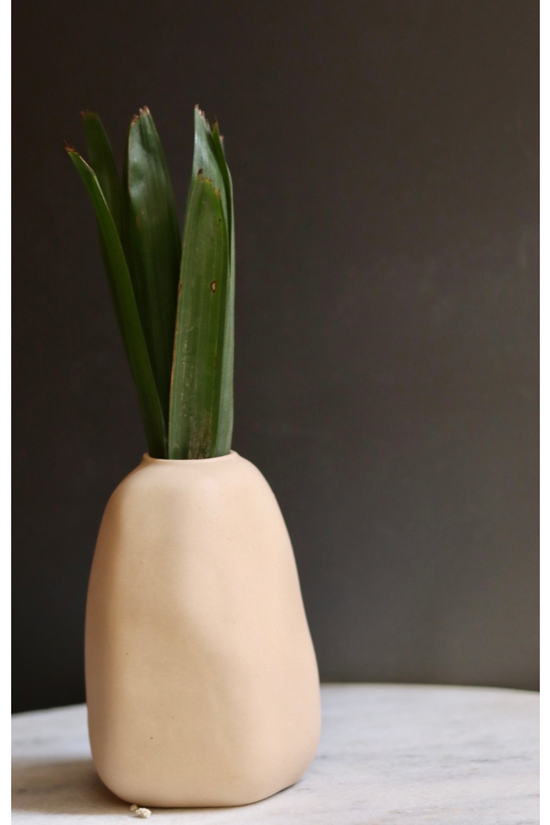 Mistif white vase with plant 