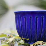 Blue planter closeup shot