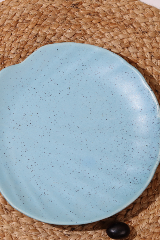 Ceramic shell platter 