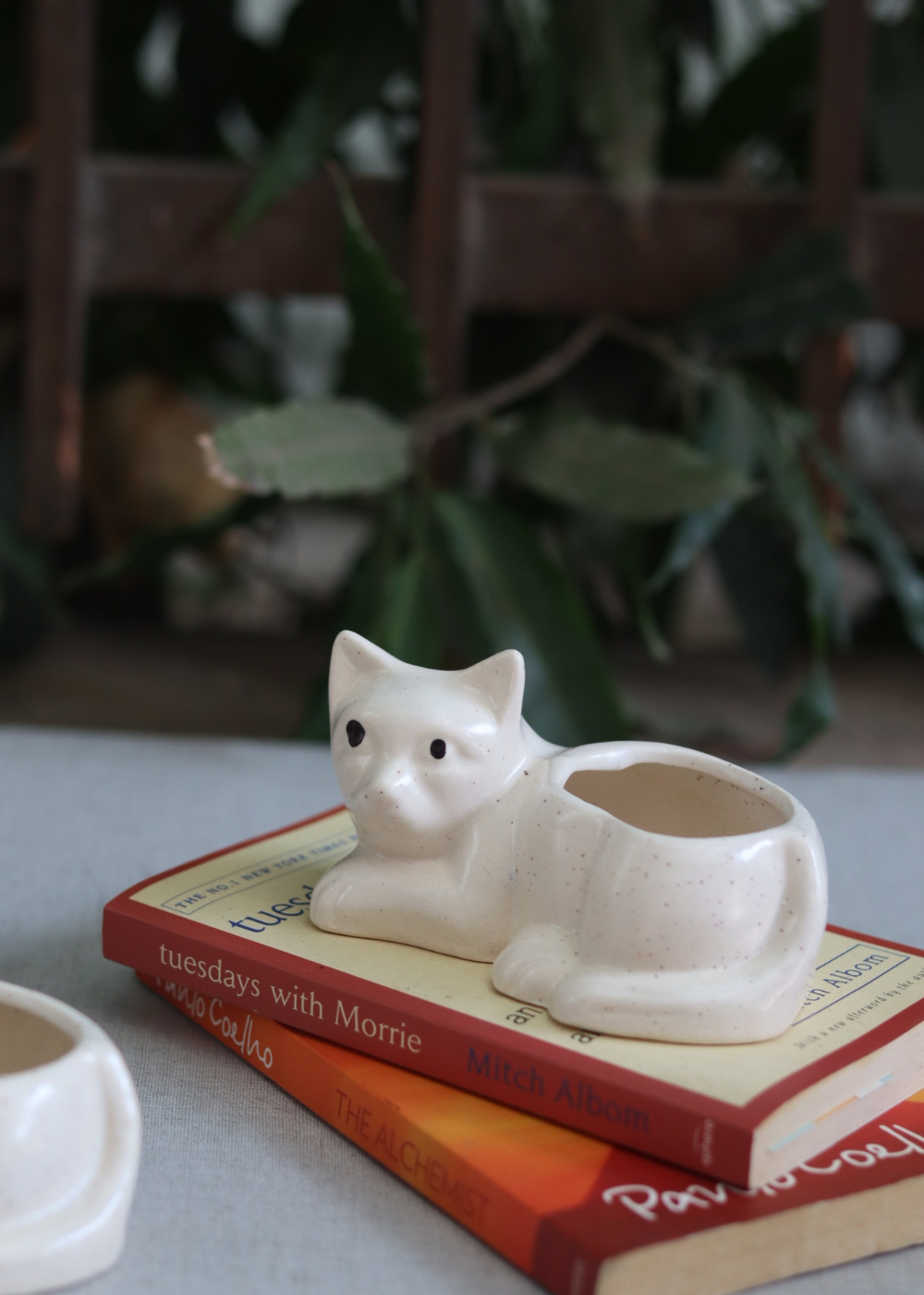 Cat succelent planter white 
