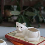 Cat succelent planter white 
