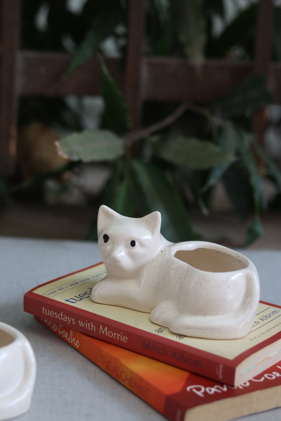 Cat succelent planter white 