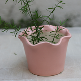Handmade ceramic curved planter with plant 