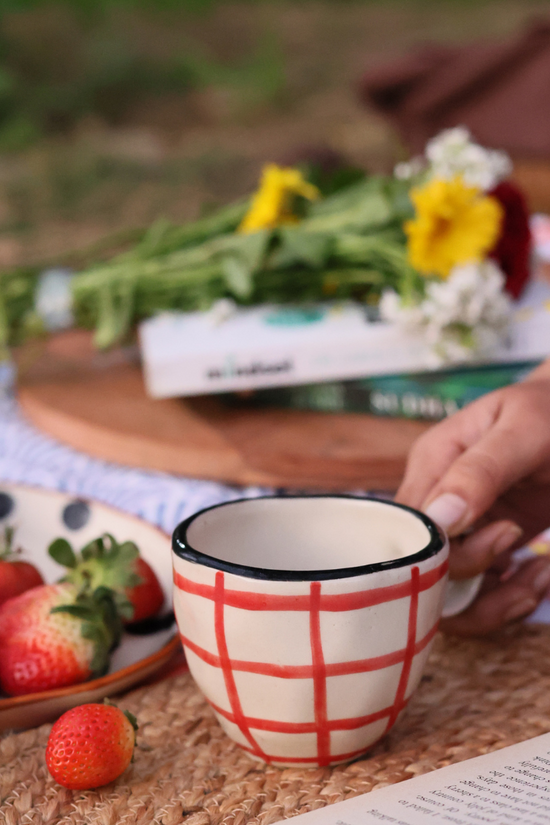 Red Checks Mug