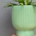 Handmade ceramic planter 