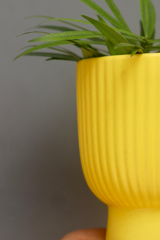 Handmade ceramic yellow lined planter