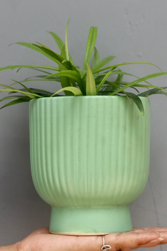 Green round lined planter 