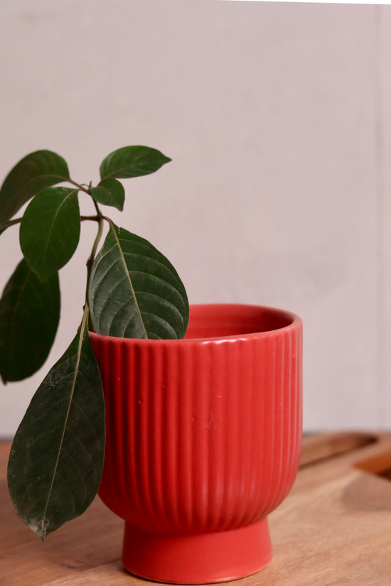 Red Round Lined Planter