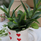 Let Love Grow - Heart Planter