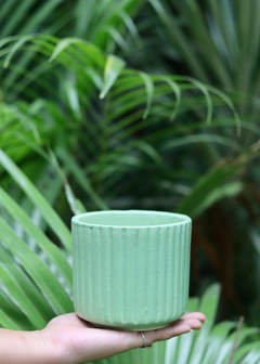 Small Green Lined Planter In Hand