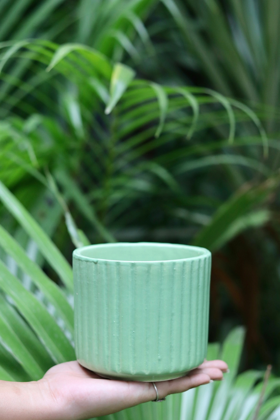 Small Green Lined Planter In Hand