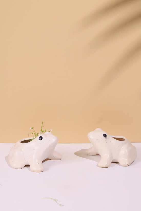 Two frog succulent planter handmade ceramic