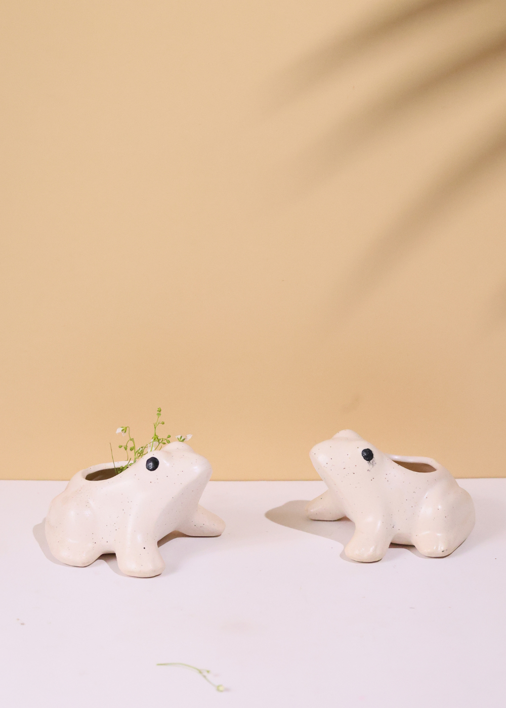 Two frog succulent planter handmade ceramic