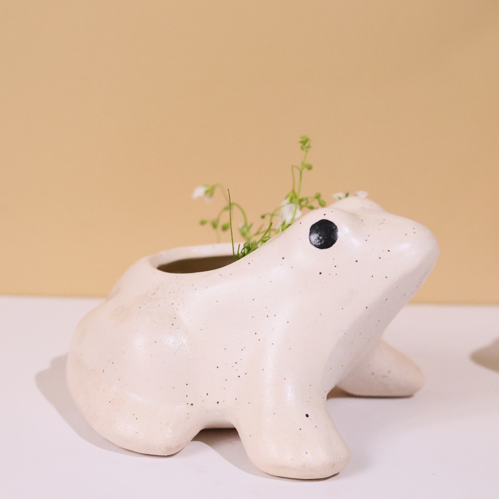 Handmade ceramic frog planter