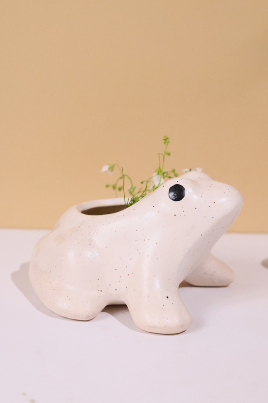 Handmade ceramic frog planter