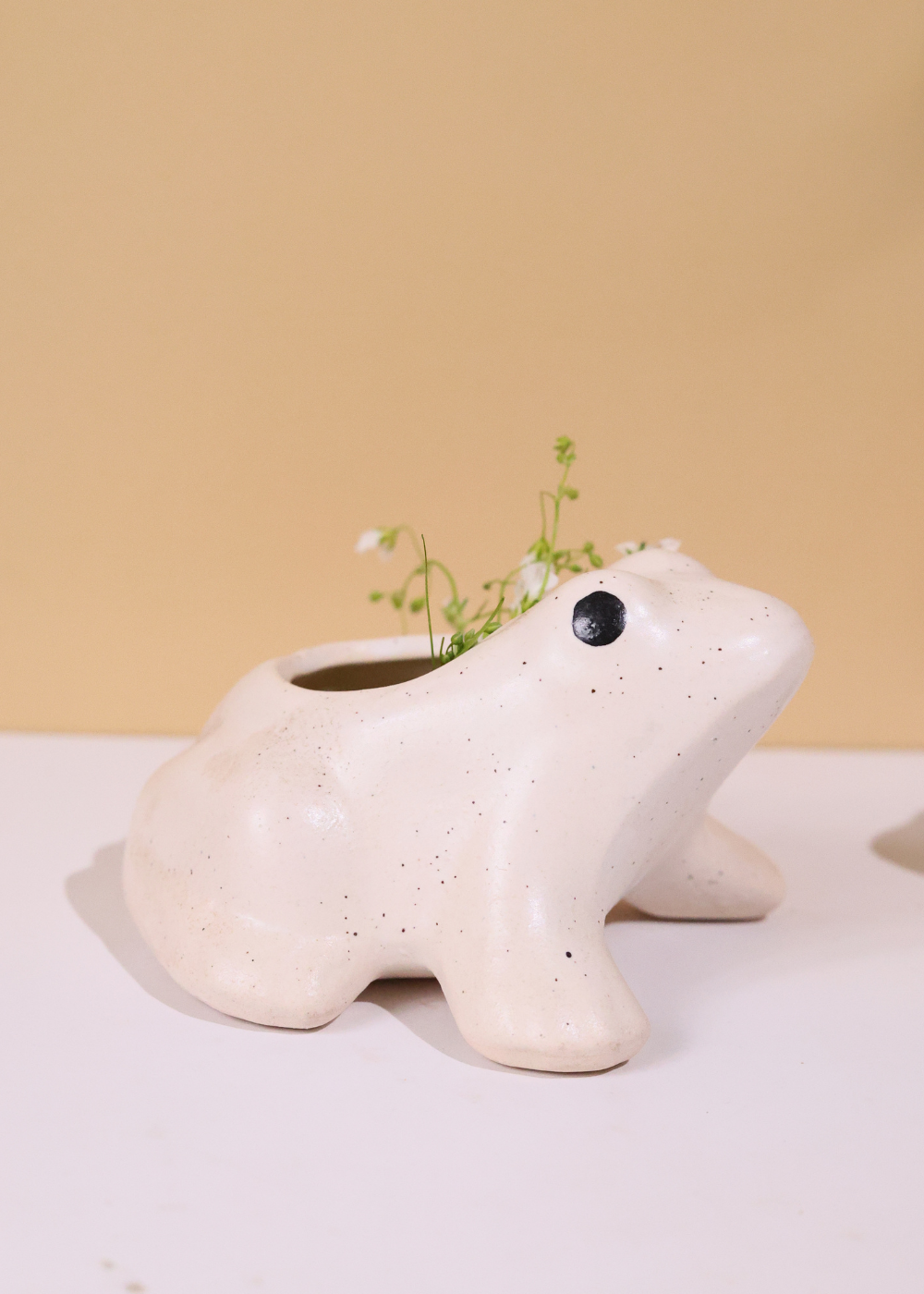 Handmade ceramic frog planter