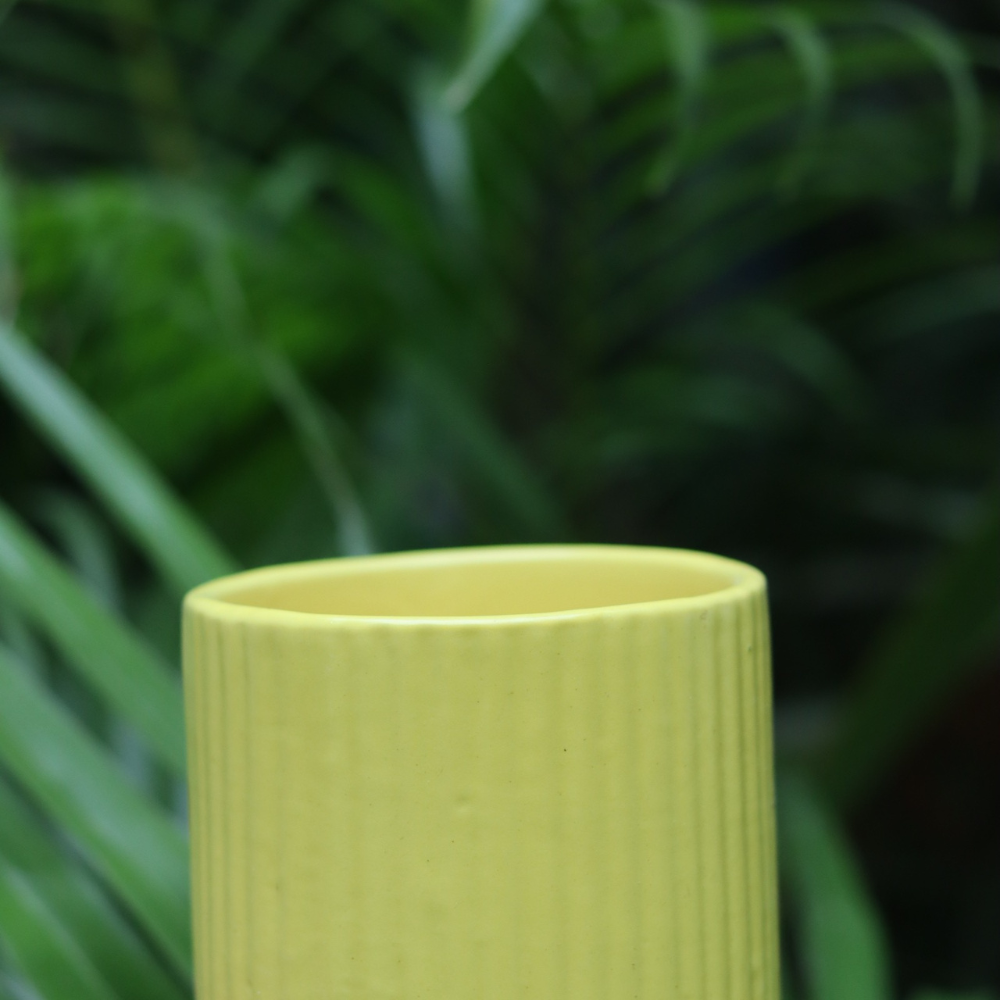 Small Yellow Lined Planter